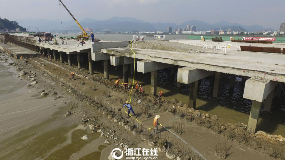 免费无遮挡 视频网站