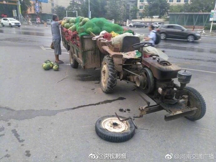 下载黄色网站全免费
