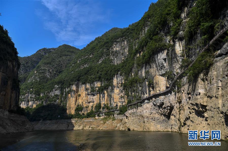 欧美人与禽ZZZOZZO性伦