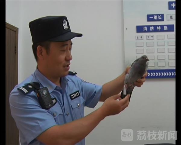 白妞大战两个黑人巨大