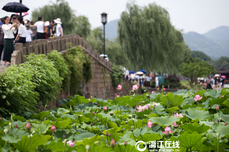 黄色 视频 大全