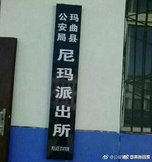 蜜汁直播