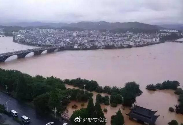 台湾特级黄色网站