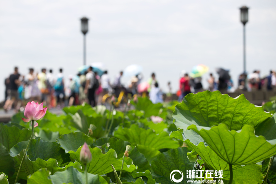 村上里沙