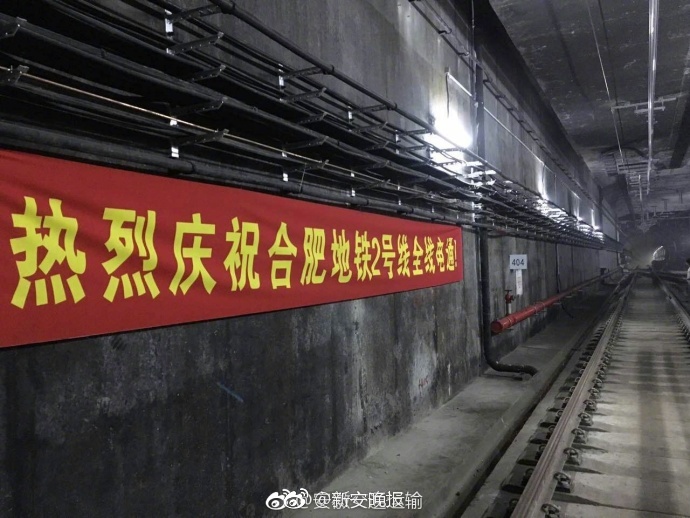 干老逼逼网