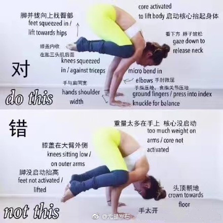操逼应用