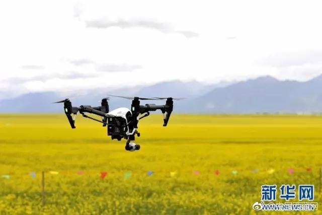 蘆竹王陽明