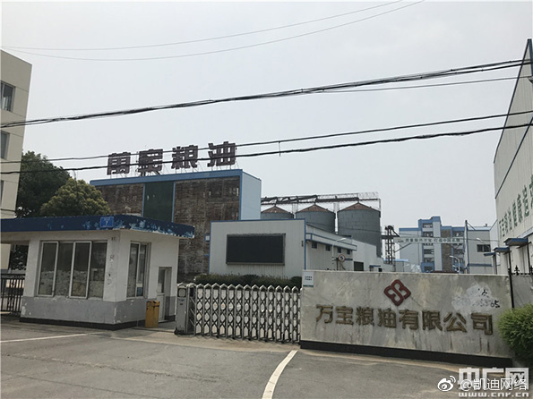 春日由衣