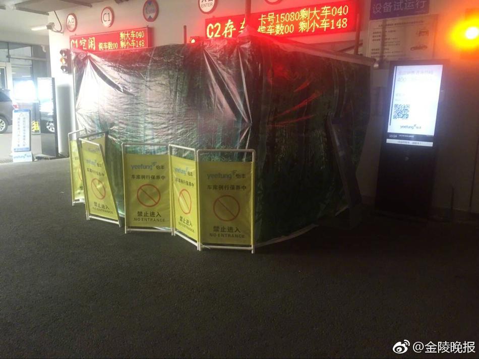 欧美人成人片在线观看视频