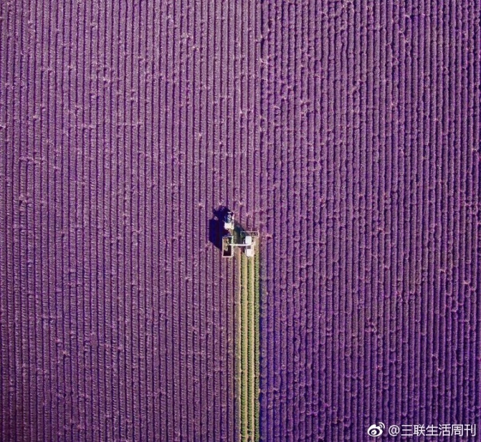 国产Xxxx无码视频