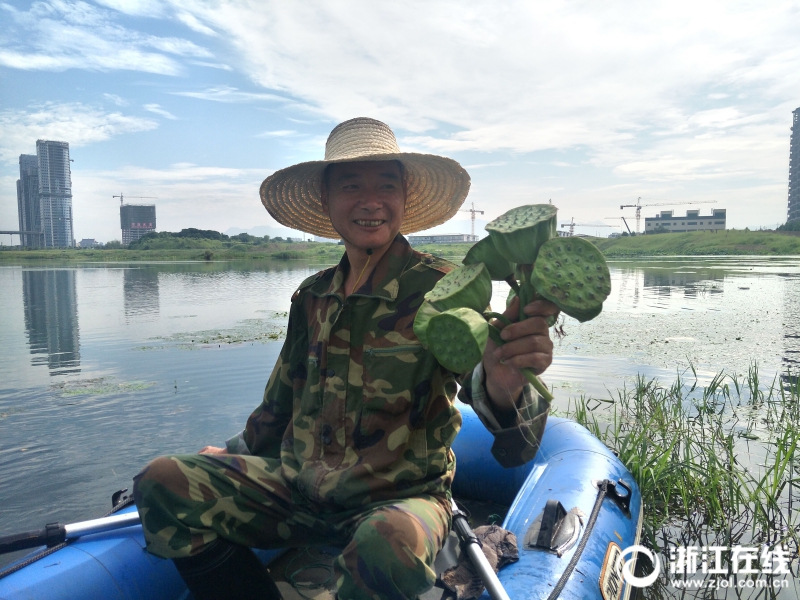 免费 黄色 网站