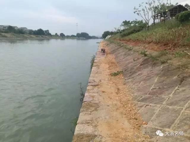 东北人作爱黄色视频