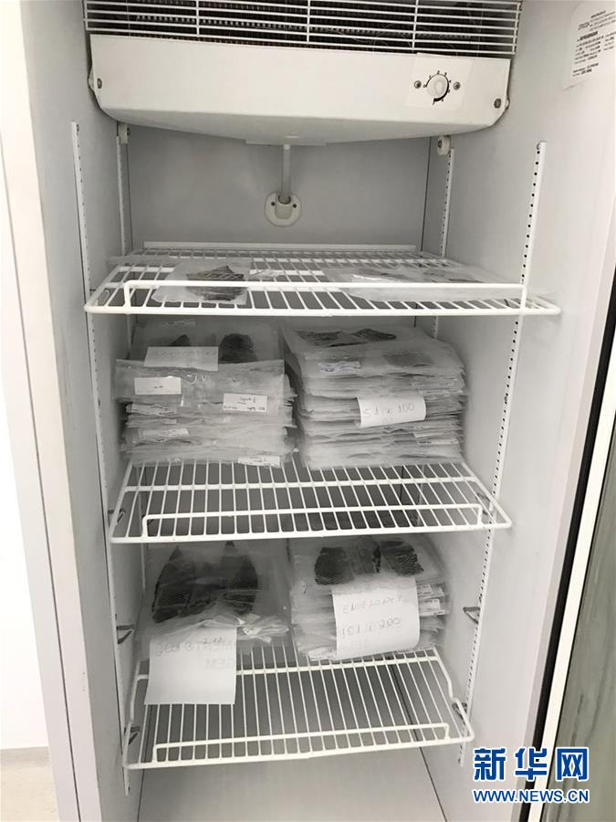 女人视频①级黄片
