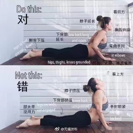 AI鞠婧祎裸被 高清网站