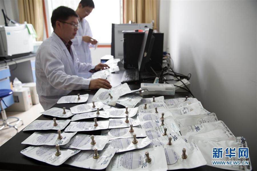 珍珠美人魚海斗