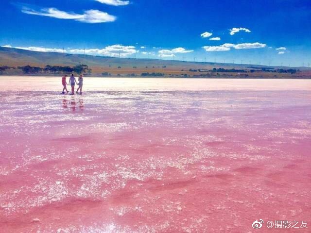 操逼的软件