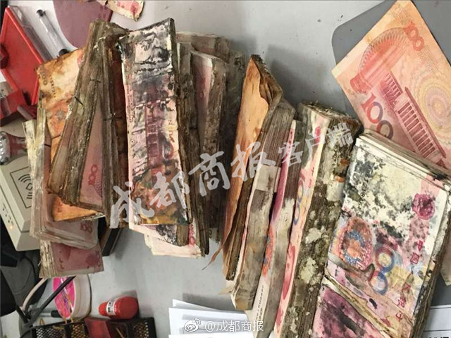 成年免费视频黄网站下载