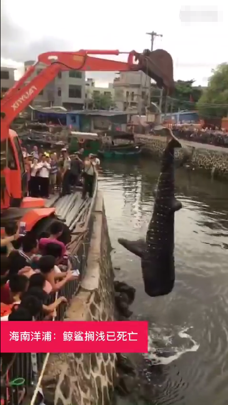 搜一下韩国的三级片