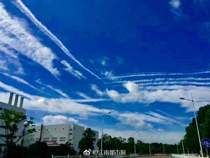 成年人视频免费在线看