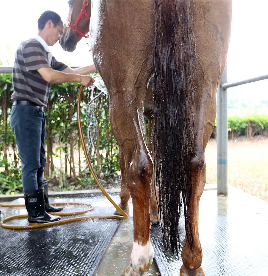 男人女人性姣配视频