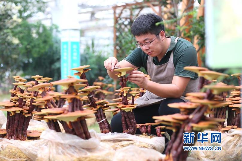大阴户