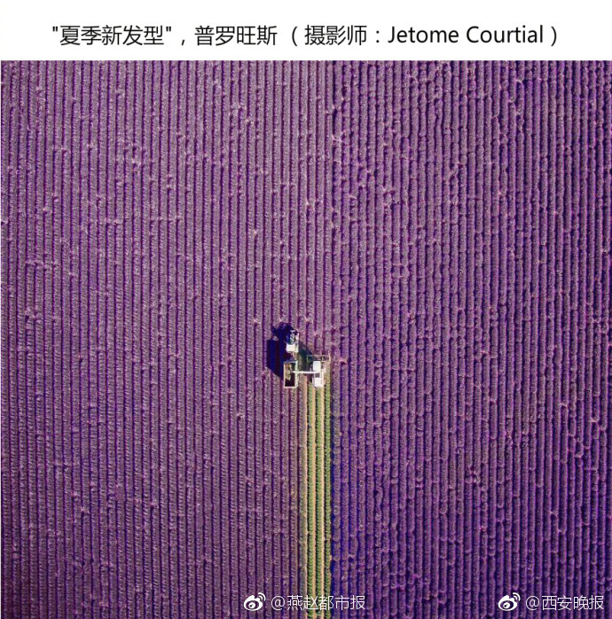 又黄又爽又刺激