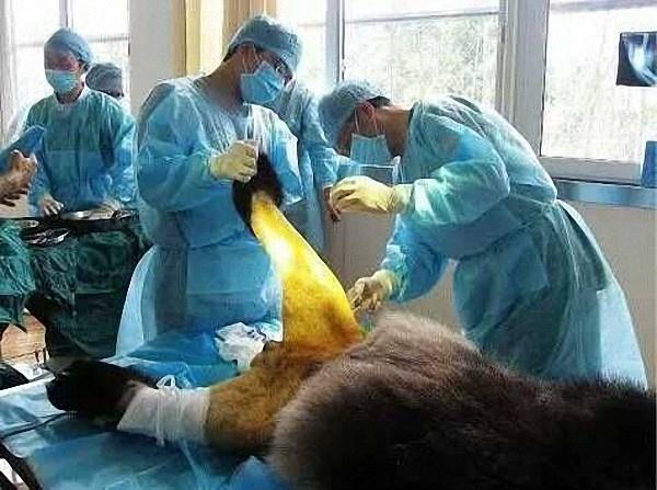 美女视频黄色是免费的