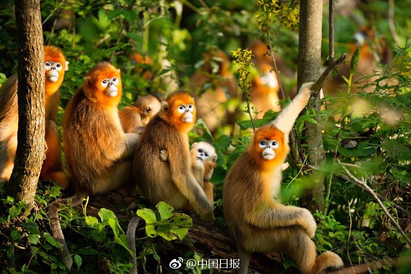 adc影视年龄确认实名认证欢迎大驾光临