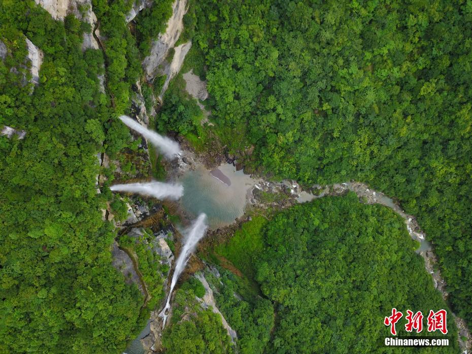 免费的黄色高清视频