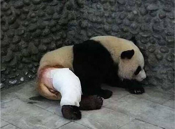 好叼操