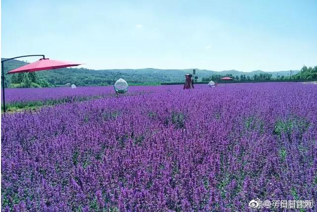 高潮喷水无码免费