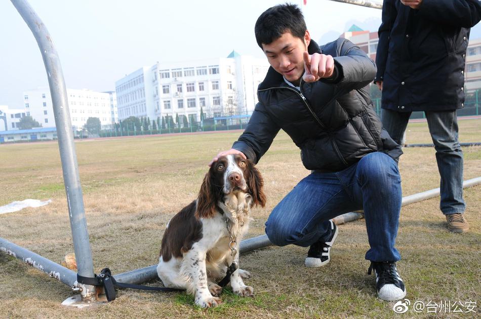欧美黑人粗大