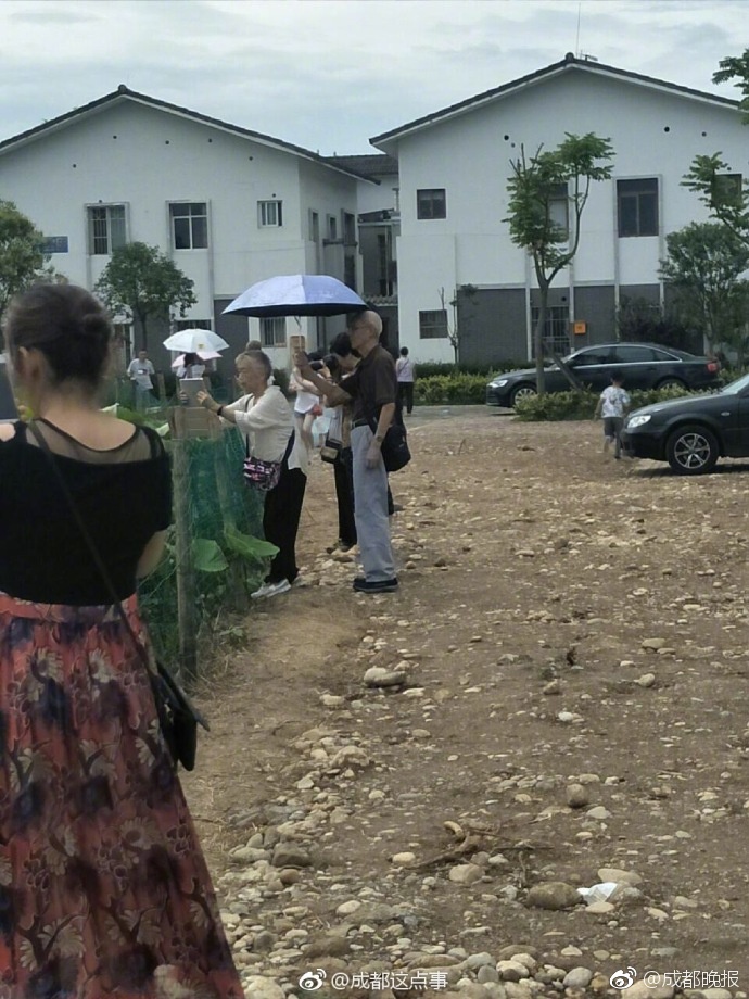 欧美性生交