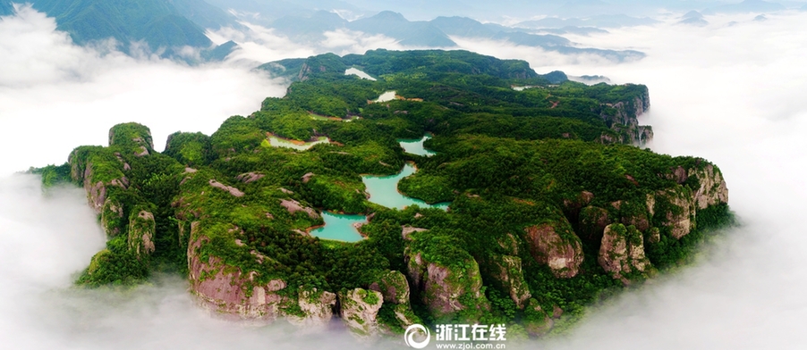 桃子色情片
