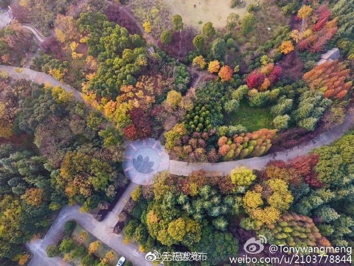 伊东千奈美