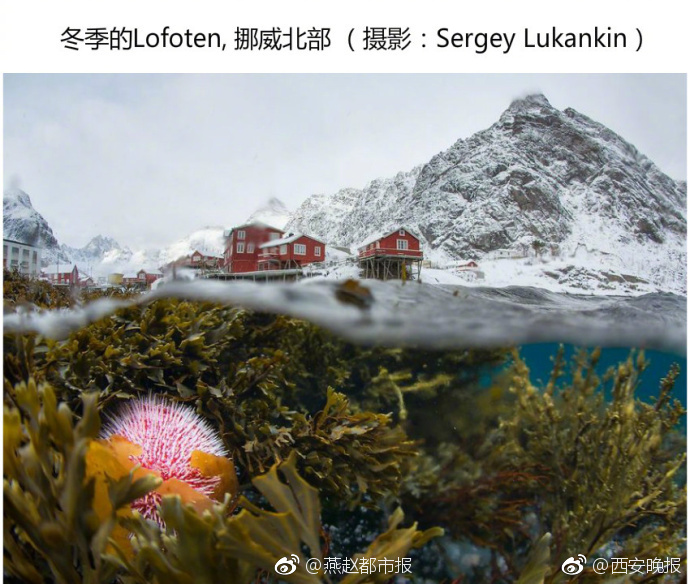 吴梦梦拍AV不戴套