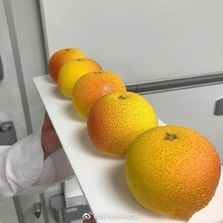 梁云菲