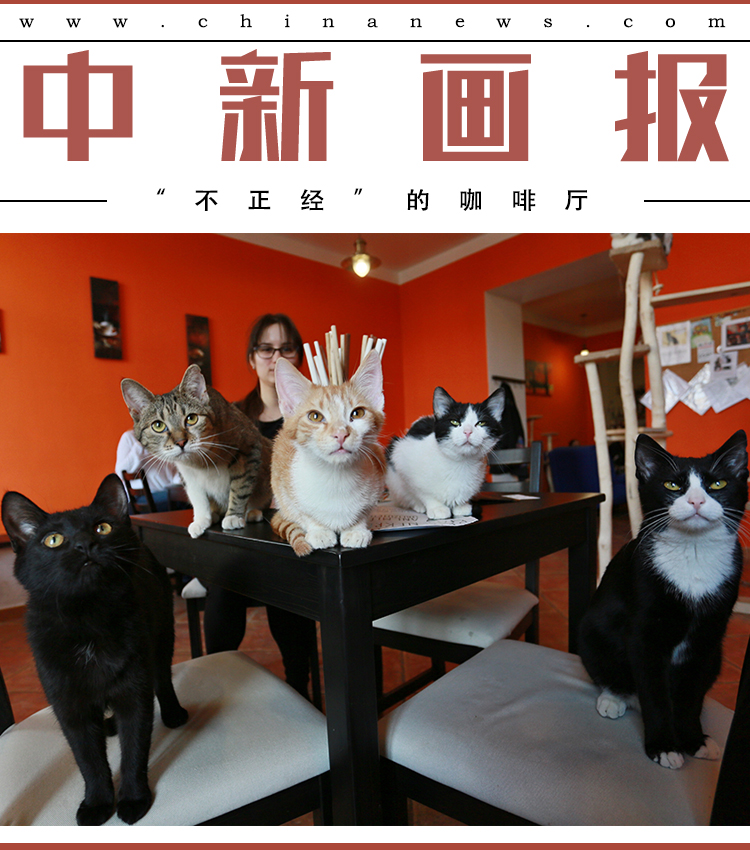 欧美人妖ⅩXXX极品另类