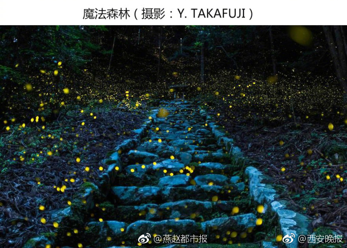 XXXX张柏芝性生交XXXXX