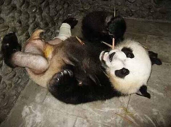 放一个男人的大鸡巴插入女人逼逼尻逼尻逼