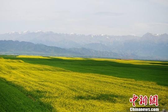 暗黑李毓芬陳香菱