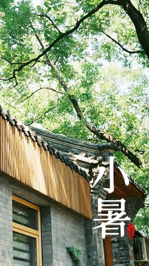 三级理论片