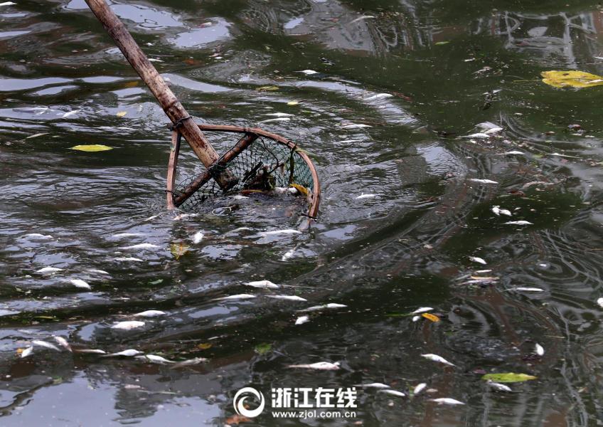 自拍偷拍色