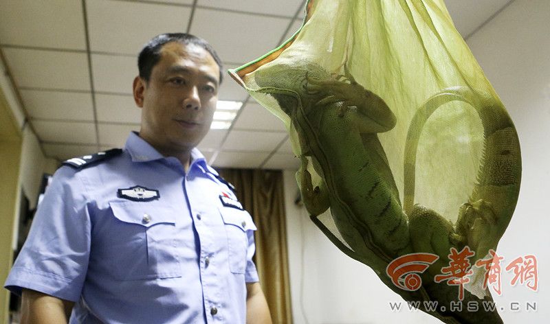 Free性乱大屁股的日本熟妇