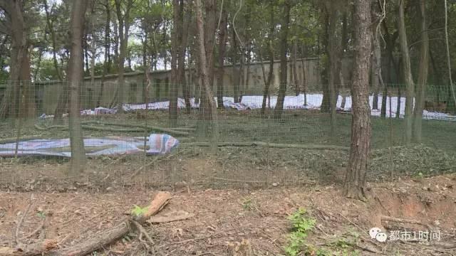 国内产品偷拍视频