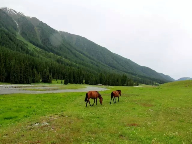 色www亚洲国产阿娇yao