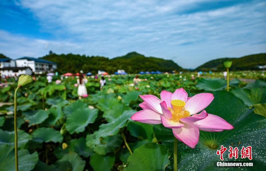 十八禁疯狂 喷水自慰爽男男