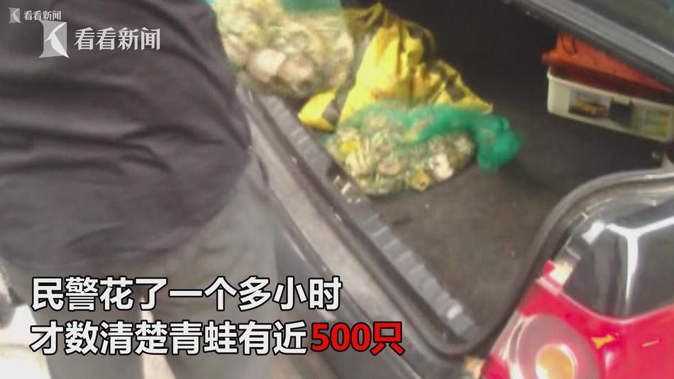 ass女性大荫蒂欣赏