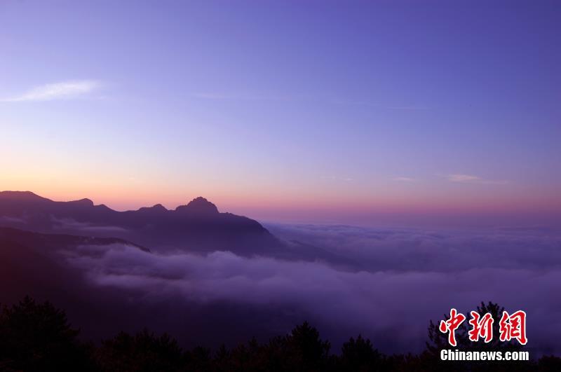 渡鹿野島
