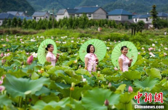 欧美熟妇性内谢
